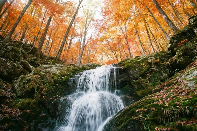 Zachte herfst bij het water