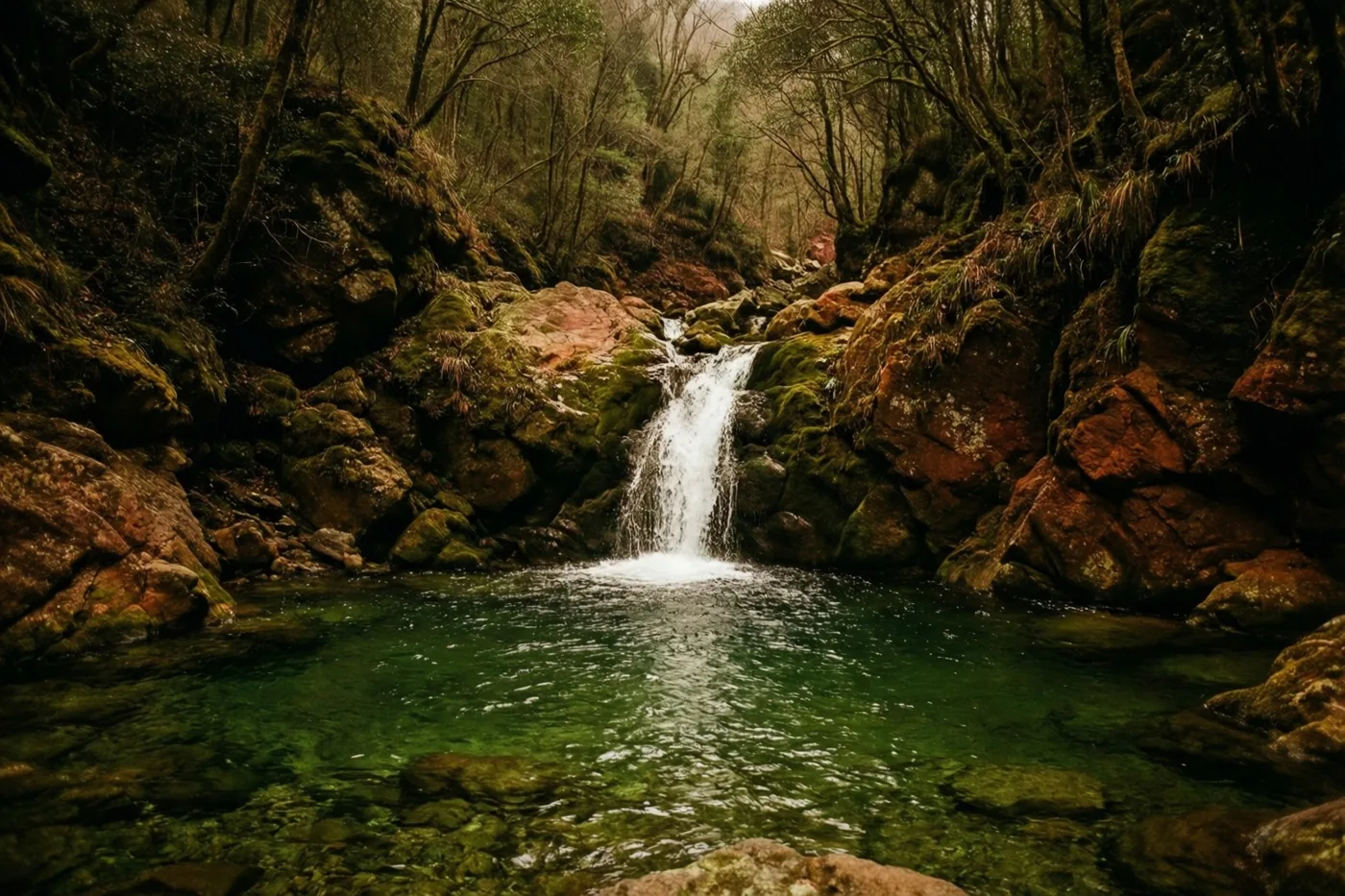 Een kleine waterval stroomt over bemoste rotsen in een heldere groene poel, omringd door donkere bomen en aardkleurige rotsen in een dichtbeboste vallei.