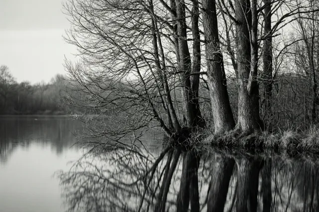 Herinneringen in het stille water