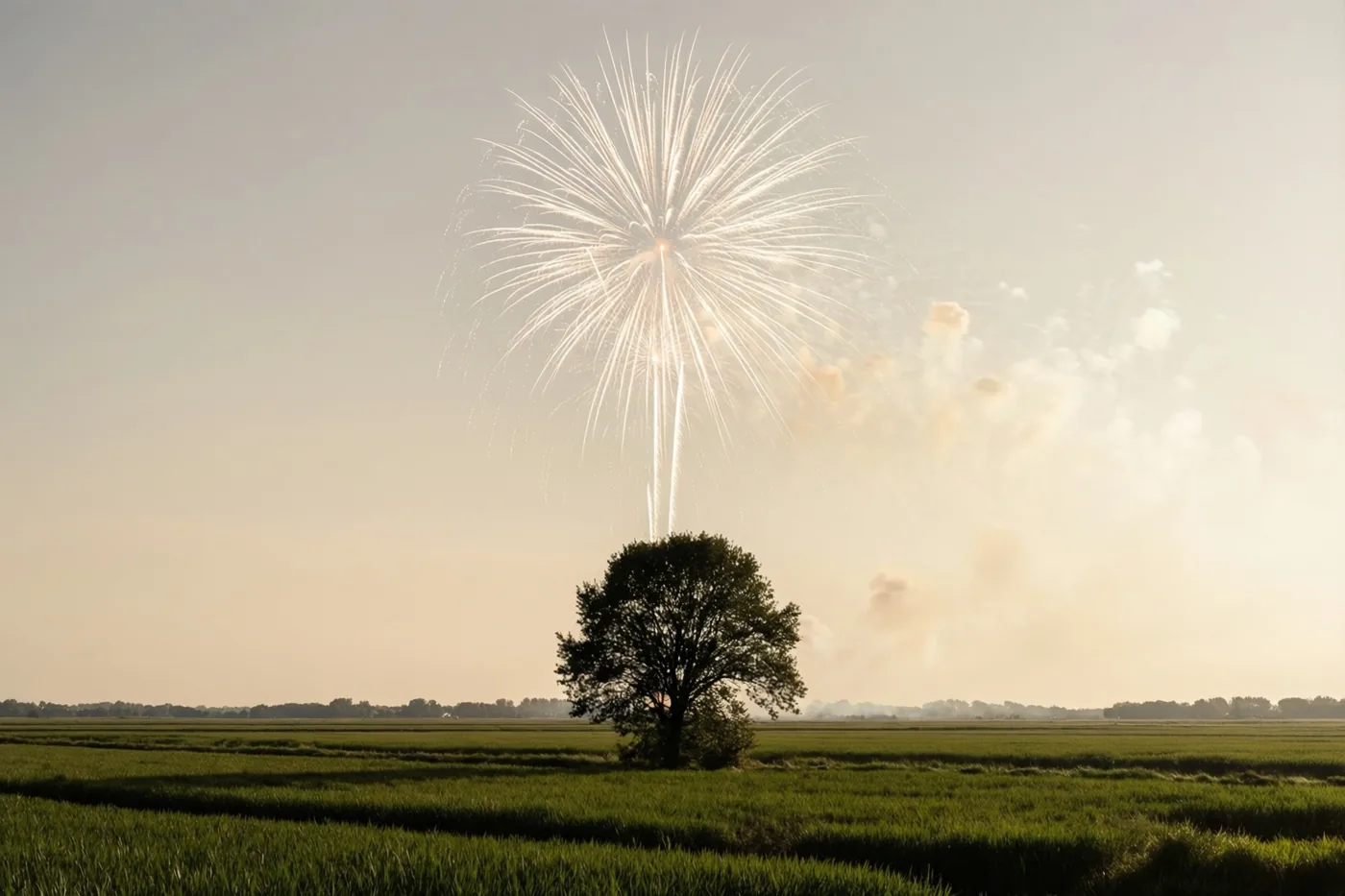 Een grote witte vuurwerkuitbarsting verschijnt boven het silhouet van een enkele boom in een weids groen polderveld dat in warm gouden licht baadt.