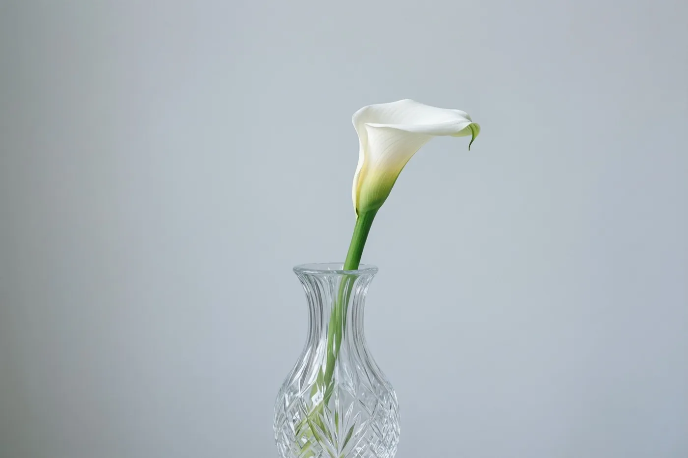 Een witte aronskelk met een groene steel staat in een kristallen vaas tegen een zachtgrijze muur.
