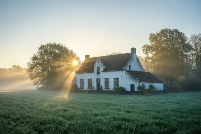 Zonnige weekendgroet van het platteland