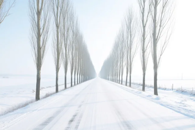 Een witte weg vooruit