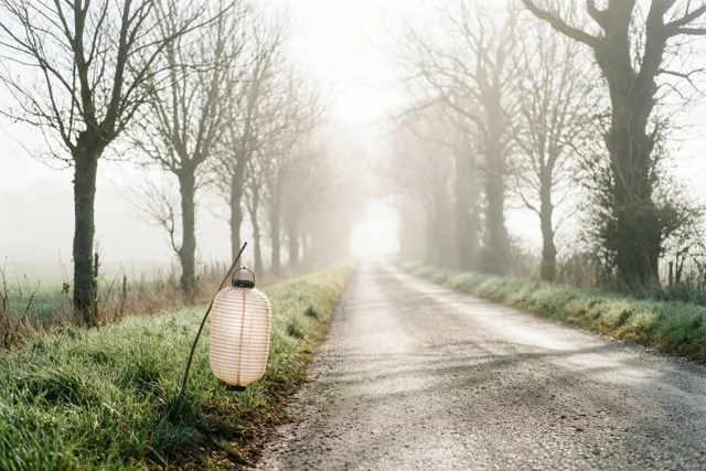 Witte lantaarn, stille novembergroet
