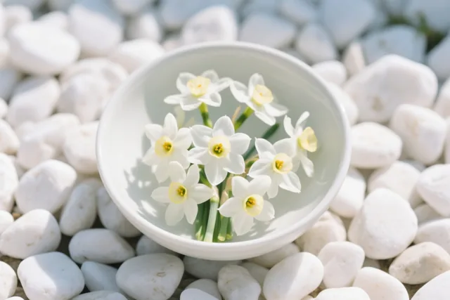 Een zachte bloemengroet