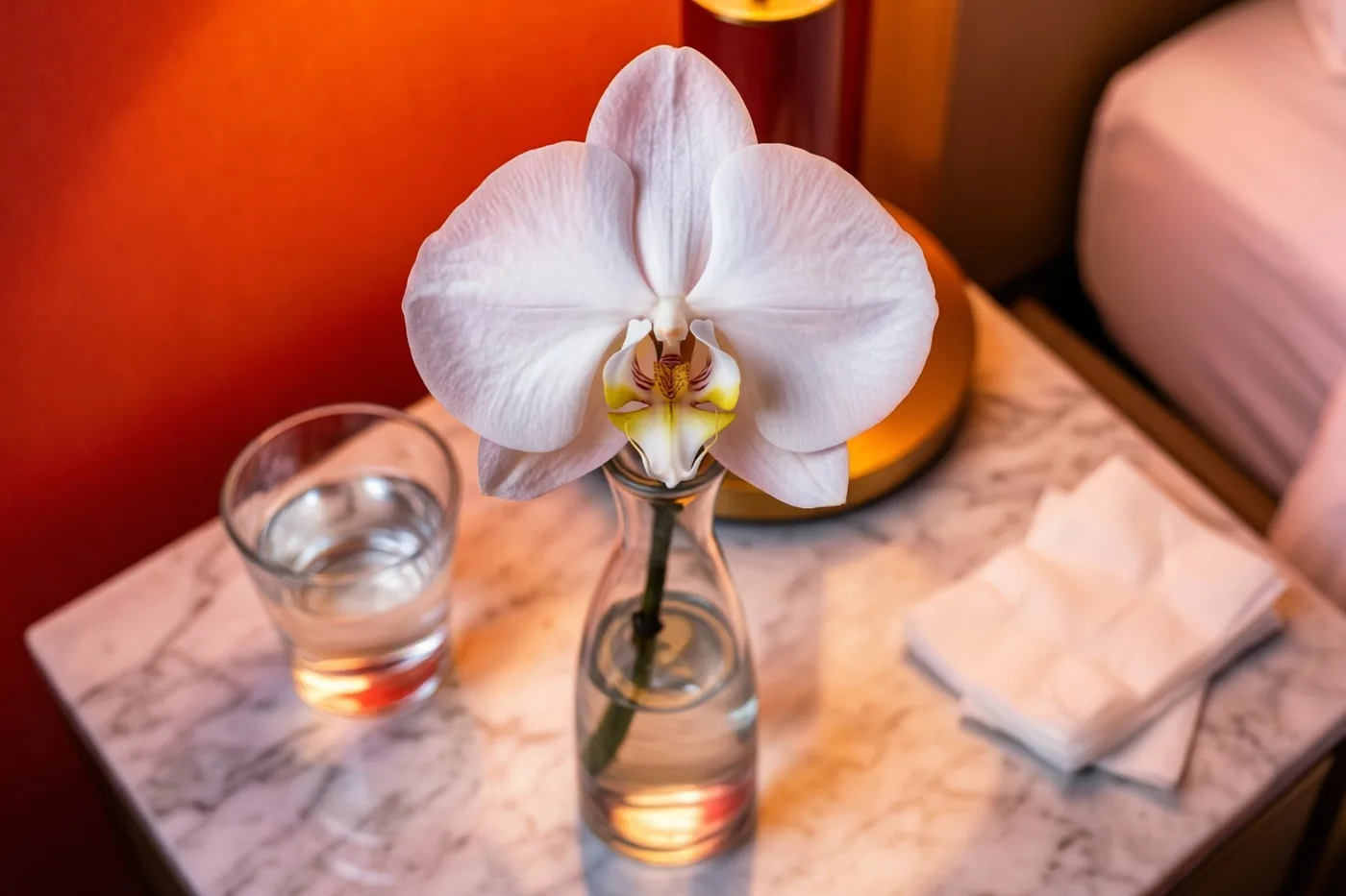 Een witte orchidee in een smalle glazen vaas staat naast een glas water en een stapeltje papieren zakdoekjes op een marmeren nachtkastje, tegen een rode muur met een bed op de achtergrond.