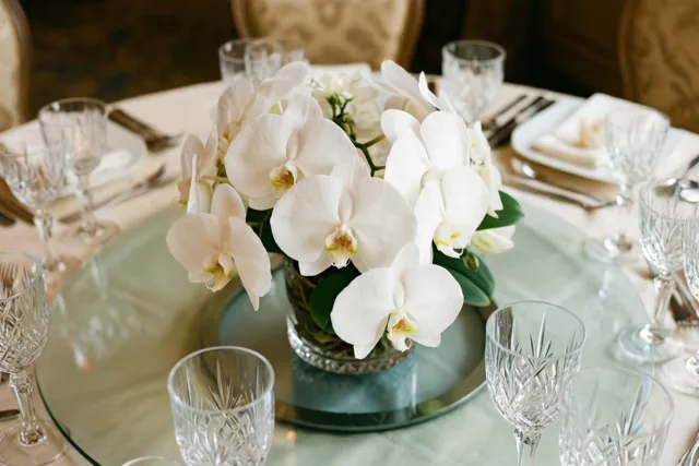 Orchideeën voor jullie feest