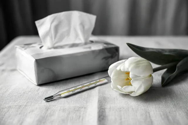 Een tulp vol medeleven
