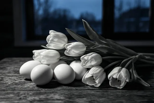 Paaslicht op witte tulpen