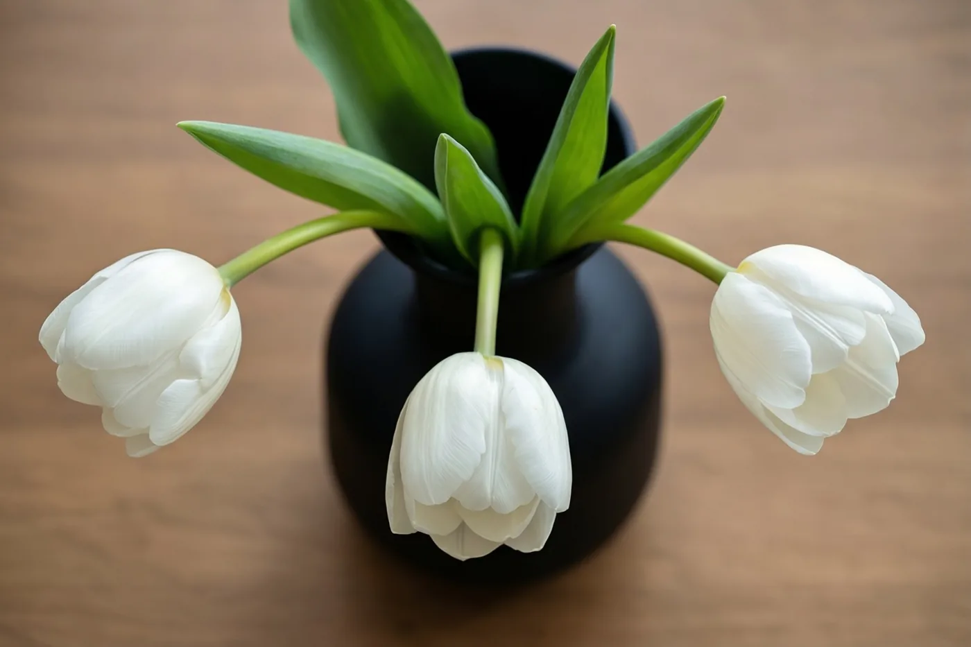 Drie witte tulpen staan in een zwarte vaas op een houten oppervlak met een onscherpe achtergrond.