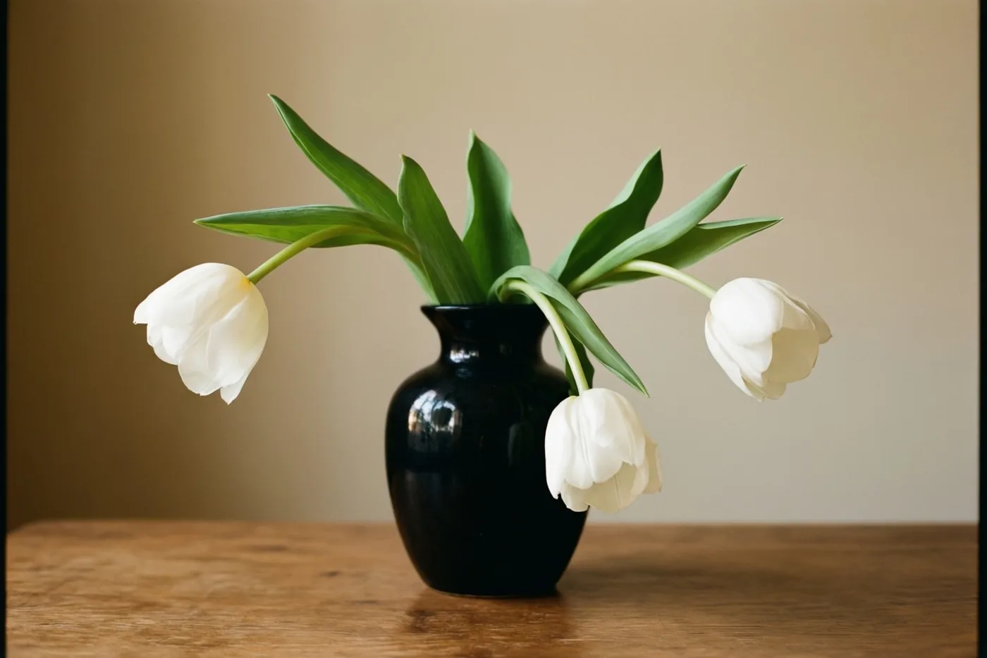 Drie witte tulpen met groene stelen staan in een zwarte vaas op een houten oppervlak tegen een effen beige achtergrond.