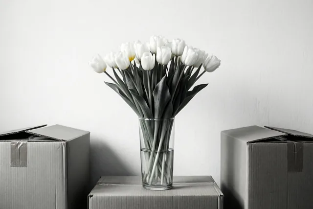 Een monochroom beeld toont een glazen vaas met witte tulpen op een verhuisdoos, met aan weerszijden een gesloten doos tegen een effen witte muur.