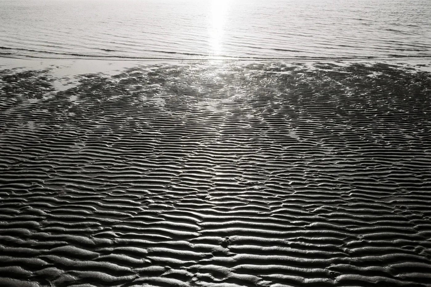 Een zwart-witfoto toont ribbels in nat zand bij eb, met de waterlijn en weerspiegeld zonlicht op de achtergrond.