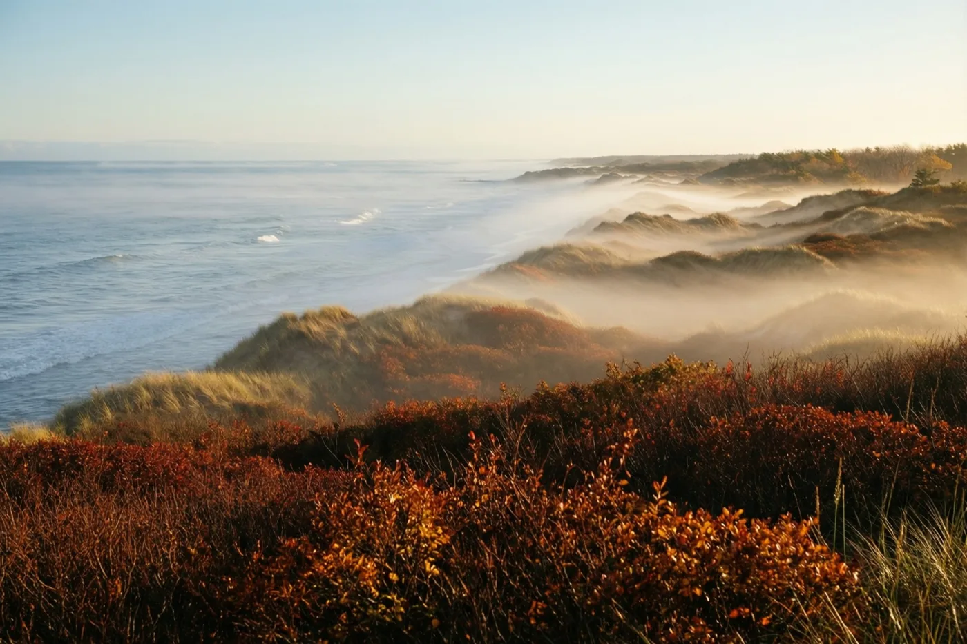 Bij het ochtendgloren trekt zeemist over golvende duinen met roestkleurige herfststruiken, met de zee in de verte in blauwe, oranje en bruine tinten.
