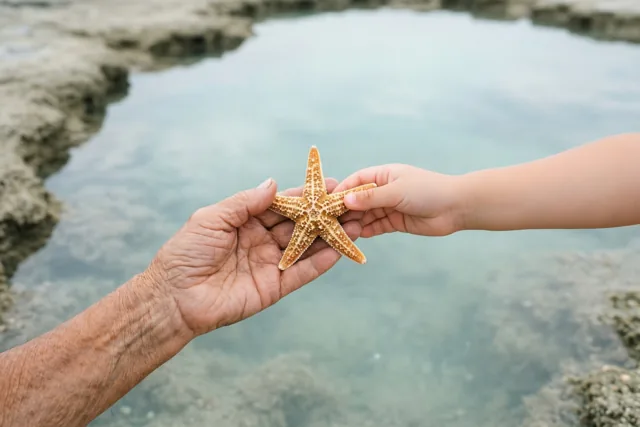 Met oma de zee ontdekken