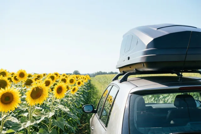 Een tussenstop vol zonnebloemen
