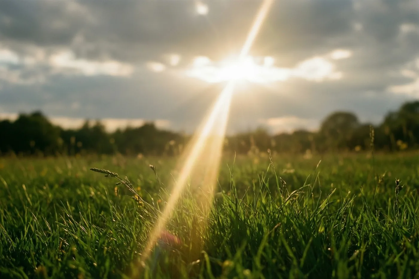 Een zonnestraal breekt door grijze wolken boven een groene weide, met scherp afgebeeld gras op de voorgrond en warm goudkleurig licht.