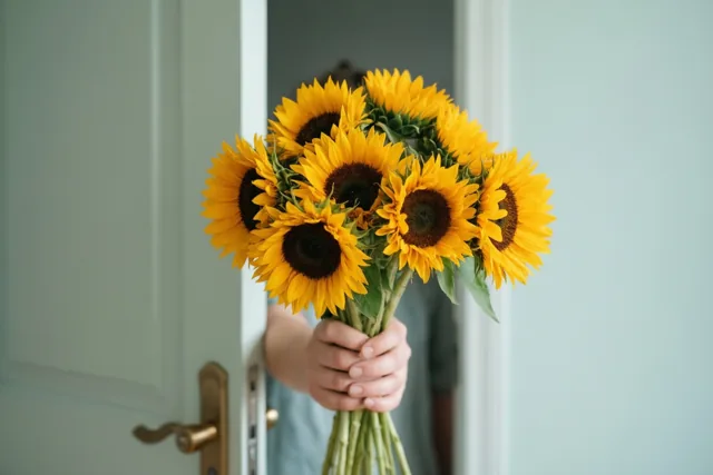 Mag ik zonnebloemen brengen
