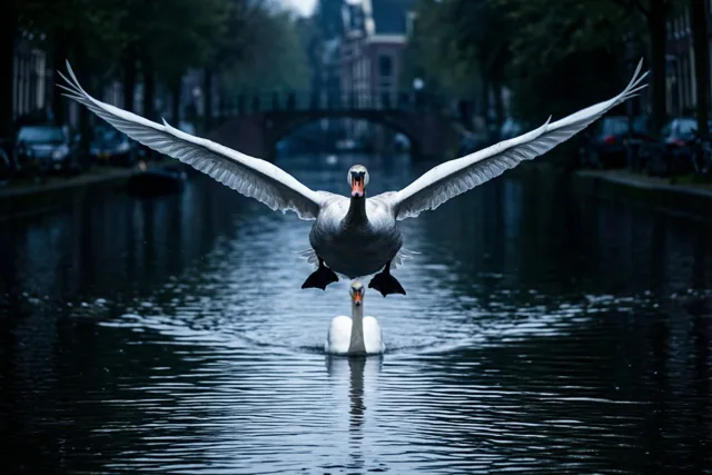 Afscheid aan het water
