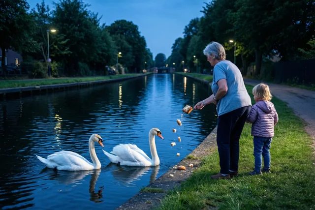 Oma en de avondzwanen