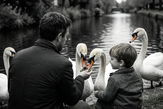 Zwanen kijken met papa