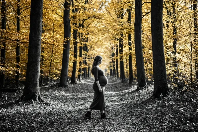Nieuw leven tussen herfstbladeren