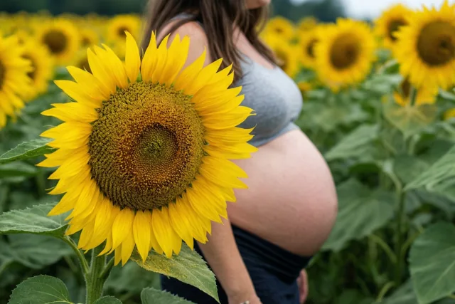 Zonnebloemen voor jou en je buik