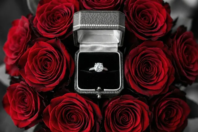 Jullie liefde kleurt de rozen