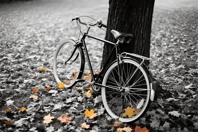Een zwarte fiets leunt tegen een boom in een park op een zwart-witbeeld waarin enkele oranje en gele bladeren hun kleur behouden.