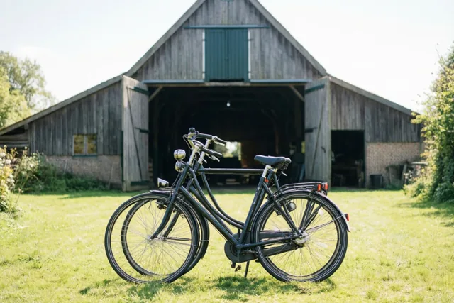 Twee fietsen, trouwe vrienden
