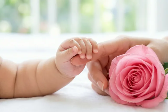 Een babyhandje grijpt de vinger van een volwassene vast naast een roze roos op een wit oppervlak, met groen en wit onscherp op de achtergrond.