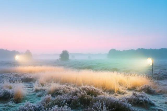 Rijp op de heide