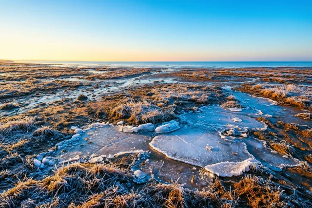 Een gouden ochtend aan zee