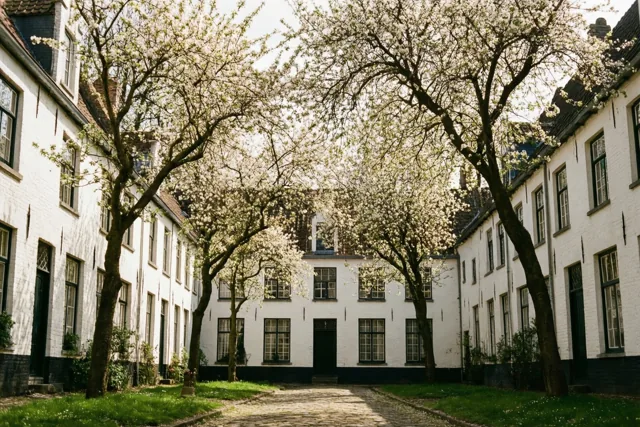 Wandel de lente tegemoet