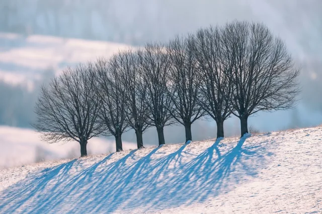 Blauwe lijnen door de winter