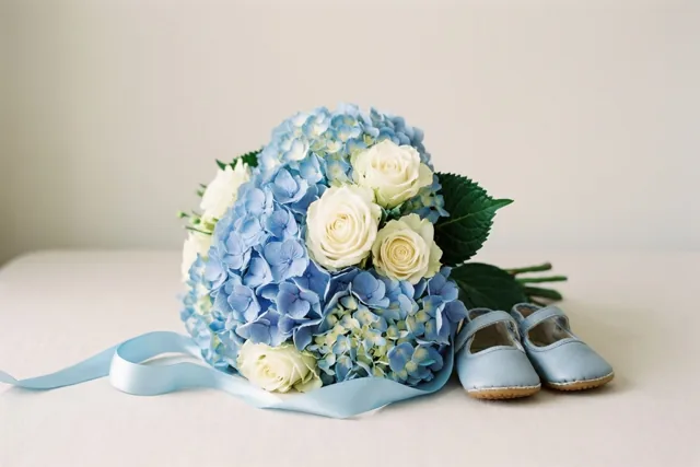 Hortensia's voor kleine voetjes