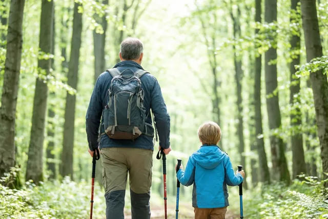 Een oudere man en een jonge jongen in blauwe jassen lopen van de kijker weg door een zonnig beukenbos, allebei met wandelstokken.