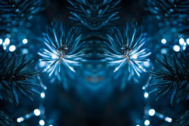 Tussen donkere dennennaalden zijn onscherpe blauwe lichtjes te zien in een beeld met diepblauwe en zwarte tinten.