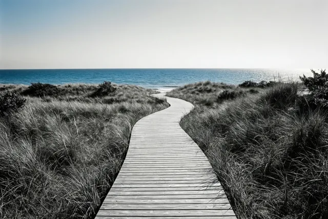 Een houten vlonderpad loopt door grasrijke duinen naar zee onder een heldere hemel, waarbij alleen de zee blauw is en de rest zwart-wit.