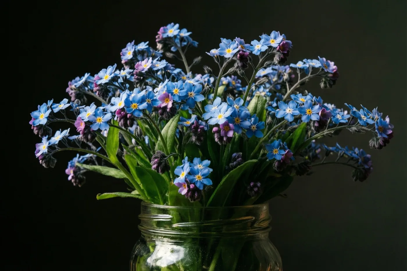 Blauwe en paarse vergeet-mij-nietjes met gele hartjes staan in een doorzichtige glazen pot tegen een donkere achtergrond.