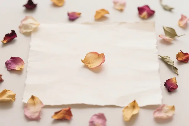 Op het midden van een vierkant vel handgeschept papier ligt één gedroogd bloemblaadje, met andere gekleurde blaadjes verspreid eromheen.
