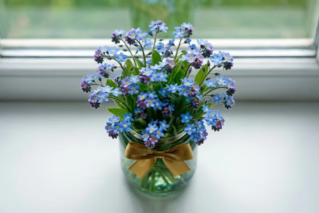 Een klein boeket blauwe en paarse vergeet-mij-nietjes staat in een doorzichtig glazen potje met een gouden strik op een witte vensterbank.
