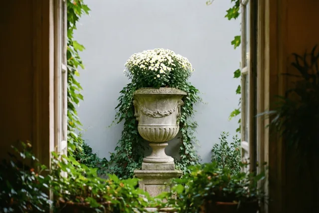 Door een raam is een stenen urn vol witte chrysanten en klimop te zien tegen een lichtgrijze muur, omringd door groen gebladerte.