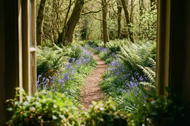 Een venster op het lentebos