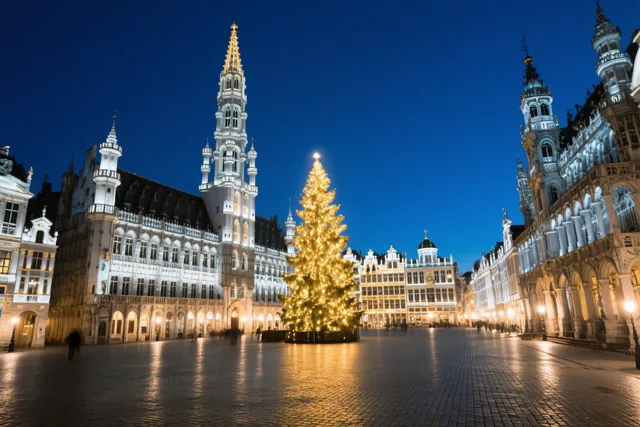 Een hoge verlichte kerstboom staat op de Grote Markt in Brussel tussen verlichte gildehuizen onder een diepblauwe nachtelijke hemel, met gouden licht dat weerspiegelt op de kasseien.