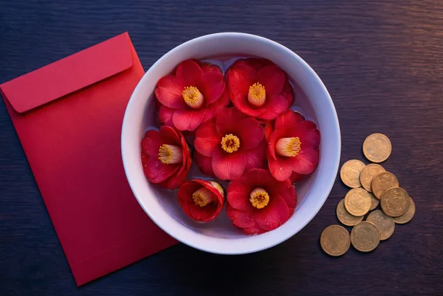 Camelia's vol nieuwjaarswensen