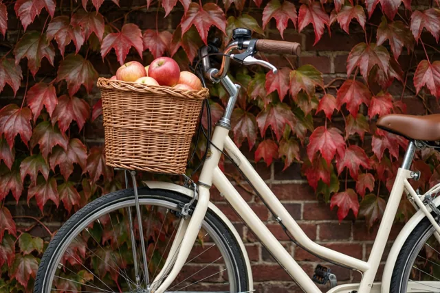 Een crèmekleurige fiets met een rieten mand vol rode appels leunt tegen een bakstenen muur met rode en groene klimopbladeren.