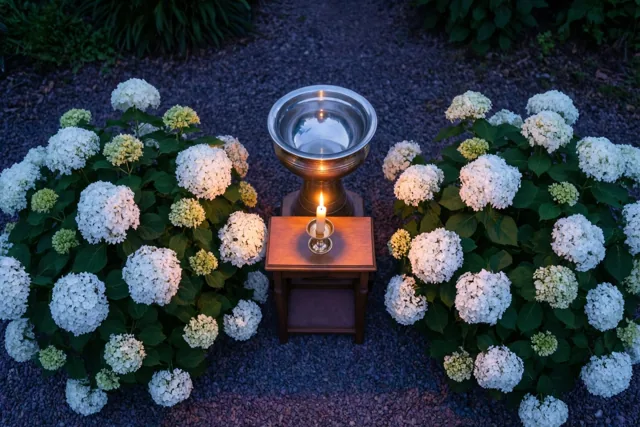 Dooplicht tussen de hortensia's