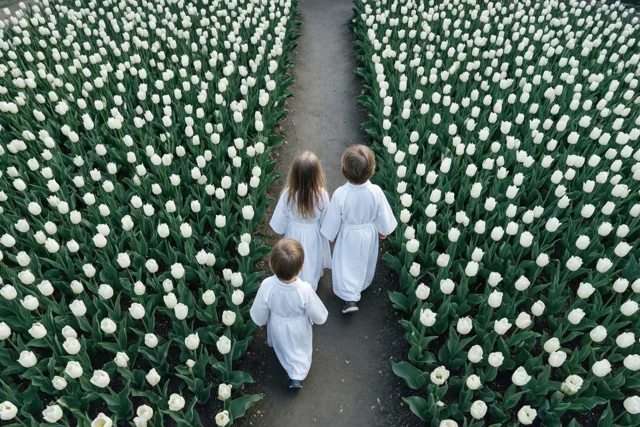 Samen communie tussen de tulpen