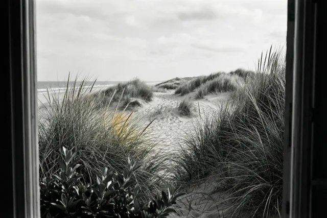 De kust in alle rust